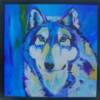 Ice Blue Husky
33"x33"
SOLD to Dan and Sharon in Mifflin County, PA
-This painting is now displayed in the Mifflin County High School Office-Go Huskies!-